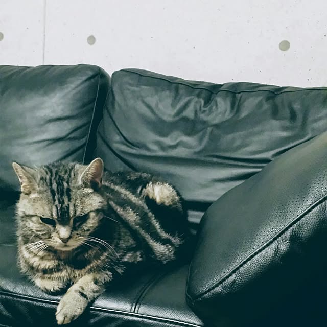 44tokyoさんの実例写真