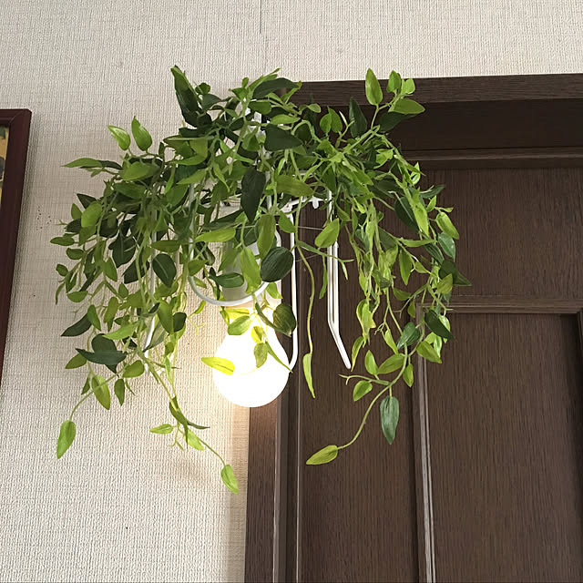 dainaoreiさんの実例写真