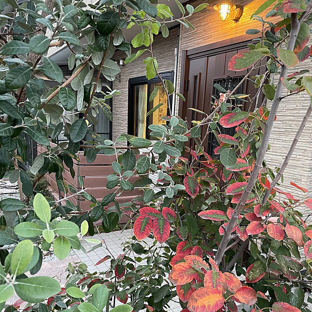 ronronさんの部屋