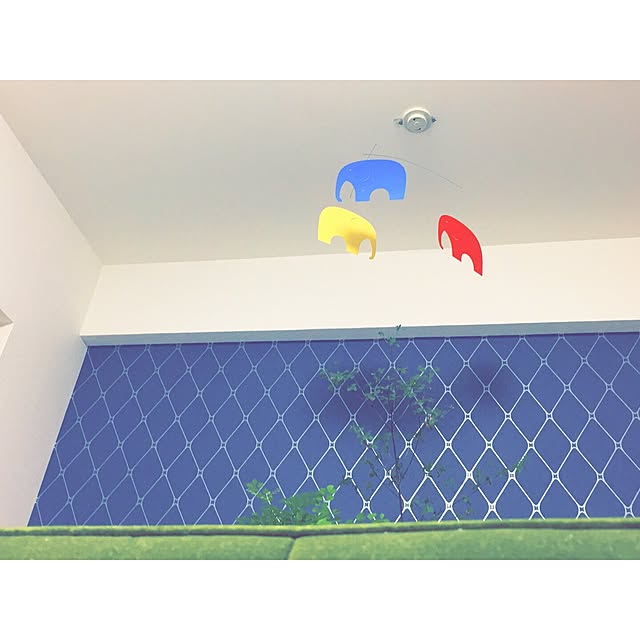_ariさんの実例写真