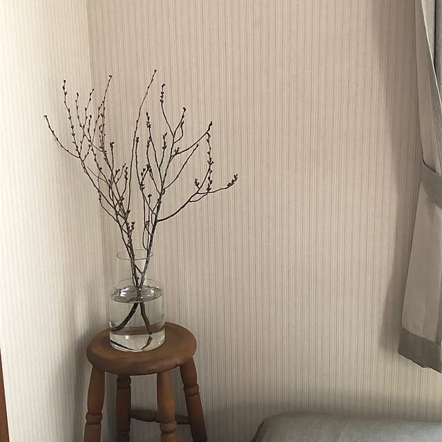 satoさんの実例写真