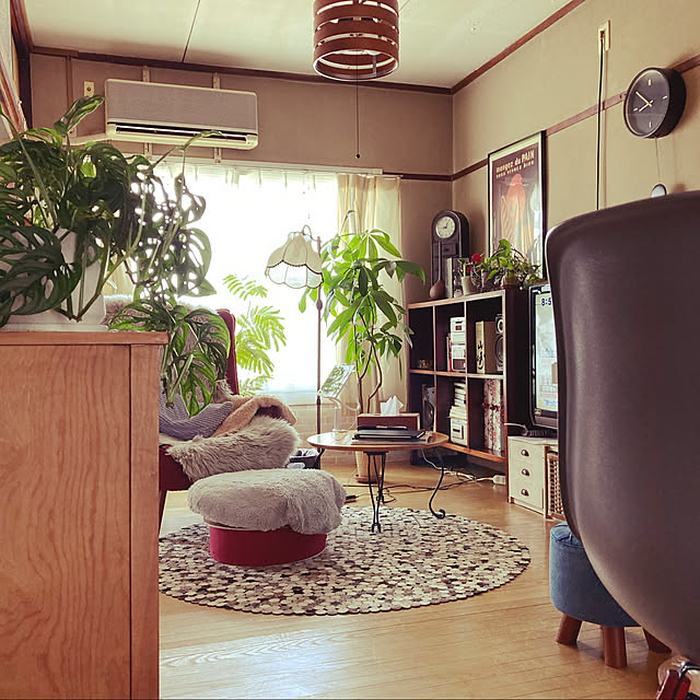 観葉植物/団地/賃貸/部屋全体のインテリア実例 - 2021-05-31 09:03:10
