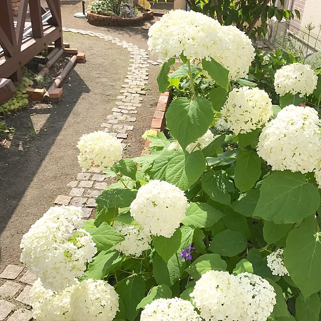 samanthakitchenさんの実例写真