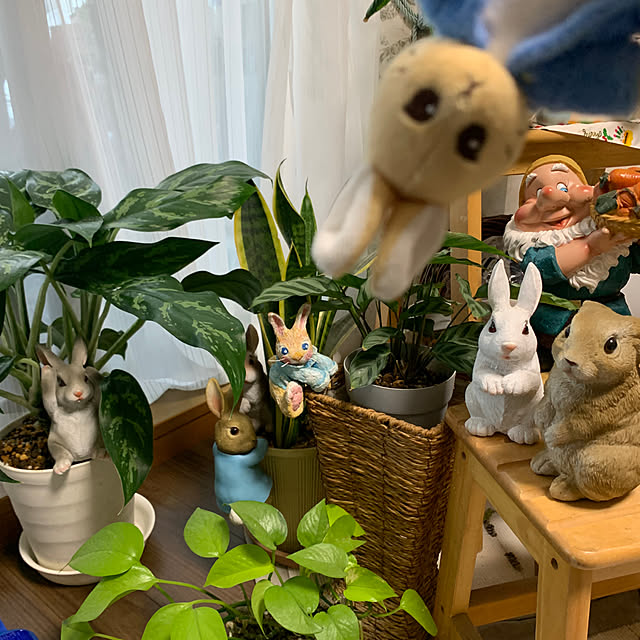 Aqettyさんの部屋