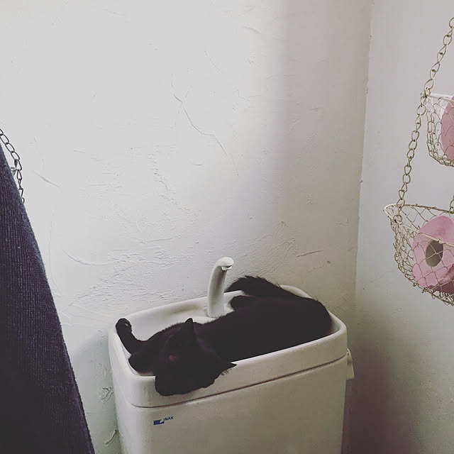 bowbowcoさんの実例写真