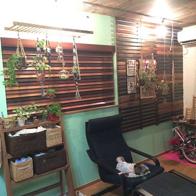 ANNAさんの実例写真
