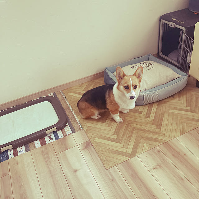bobさんの部屋