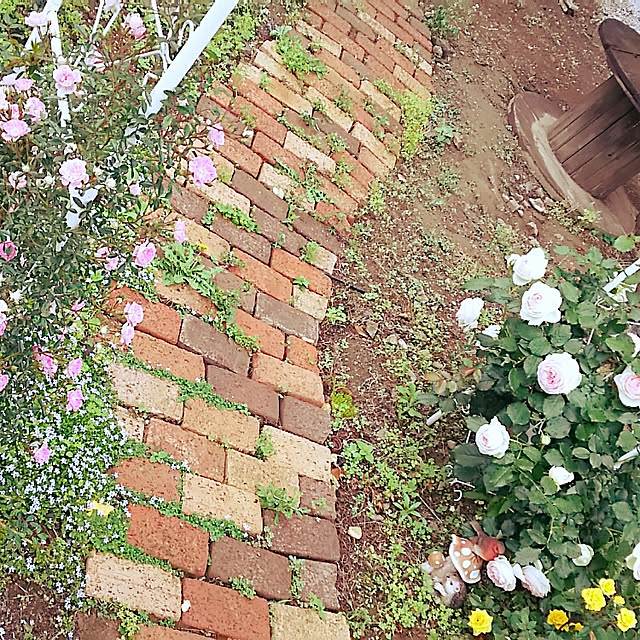 sunflowerさんの実例写真
