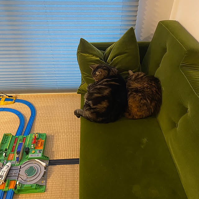 mikomaruさんの実例写真