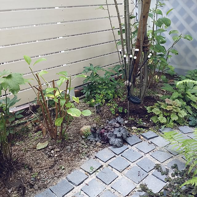 Bienvenueさんの実例写真
