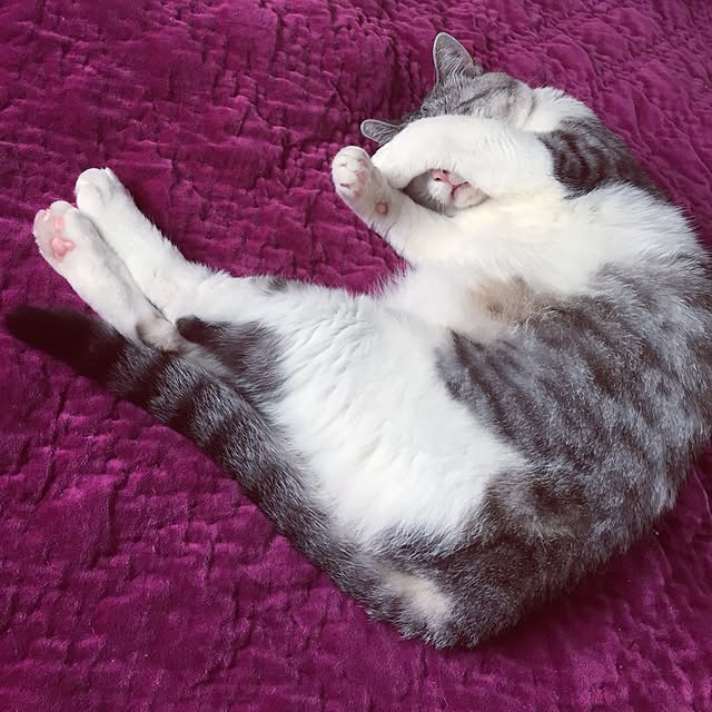 emmyyさんの実例写真