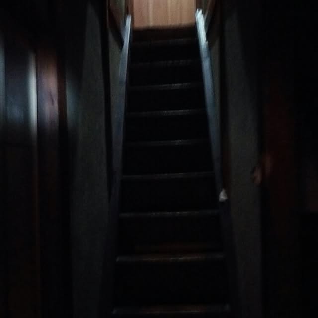 norlkoさんの実例写真