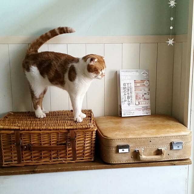 mikiさんの実例写真