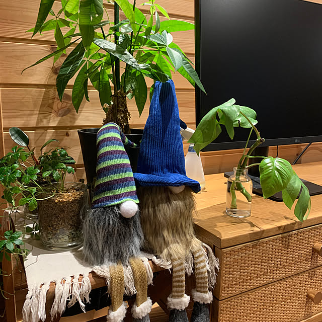 sinさんの実例写真