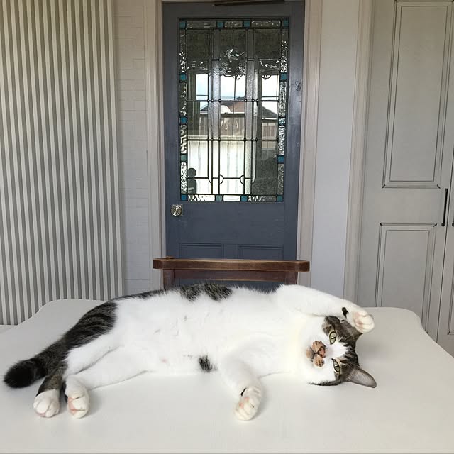 yuchiさんの実例写真