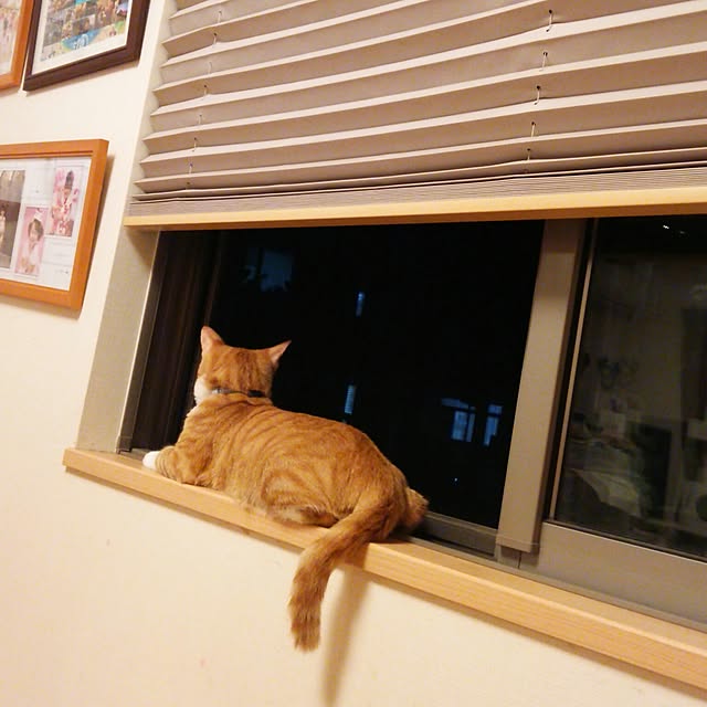 Makikoさんの実例写真