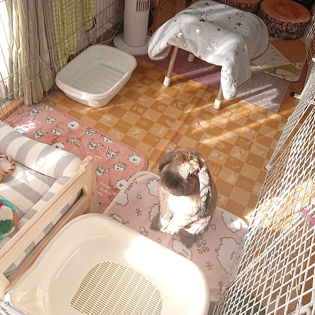 mariaさんの実例写真