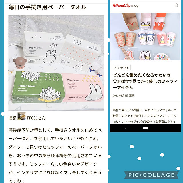 FF001さんの実例写真