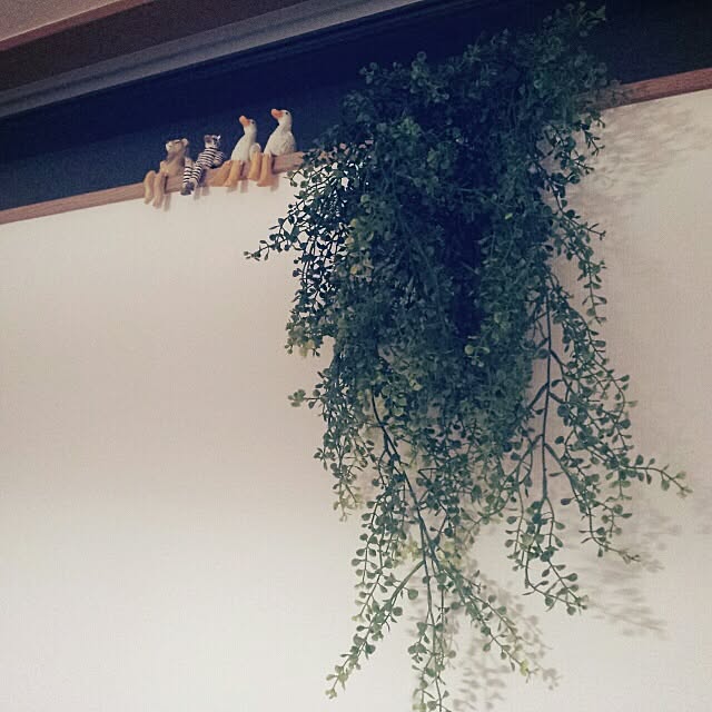 tapiさんの実例写真