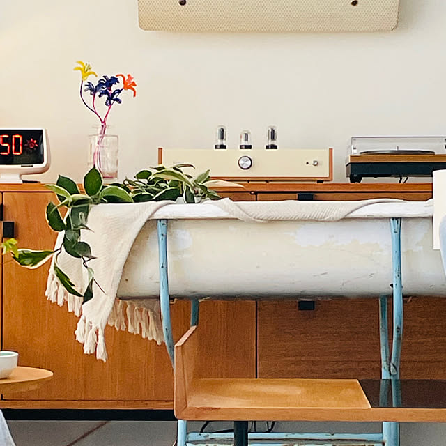 Shinjiさんの実例写真