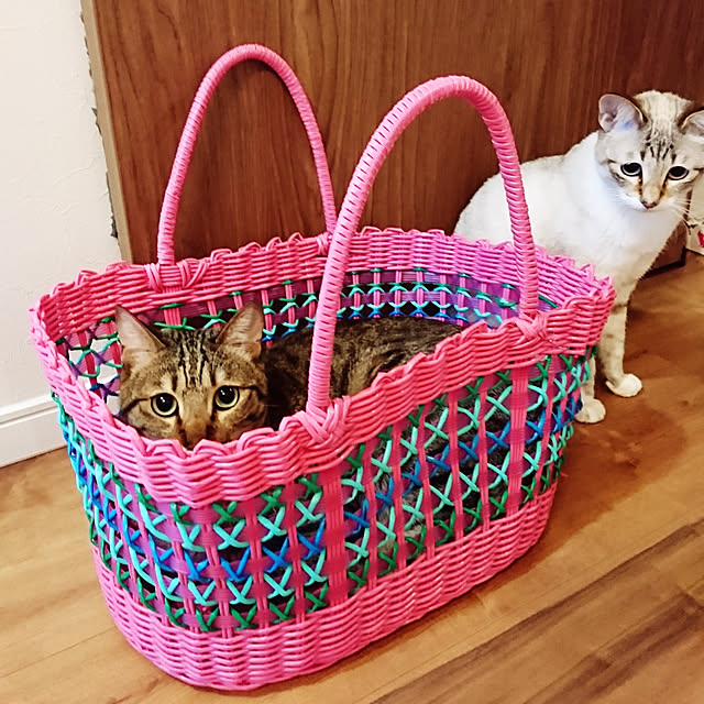 poniさんの実例写真