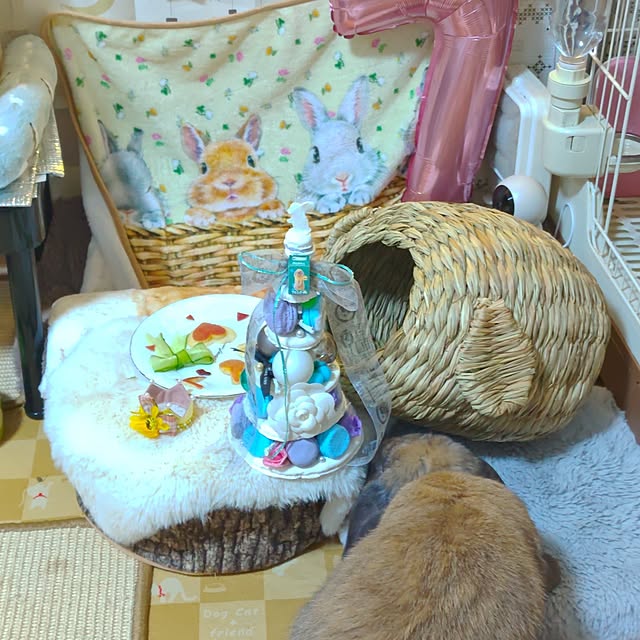 mariaさんの部屋