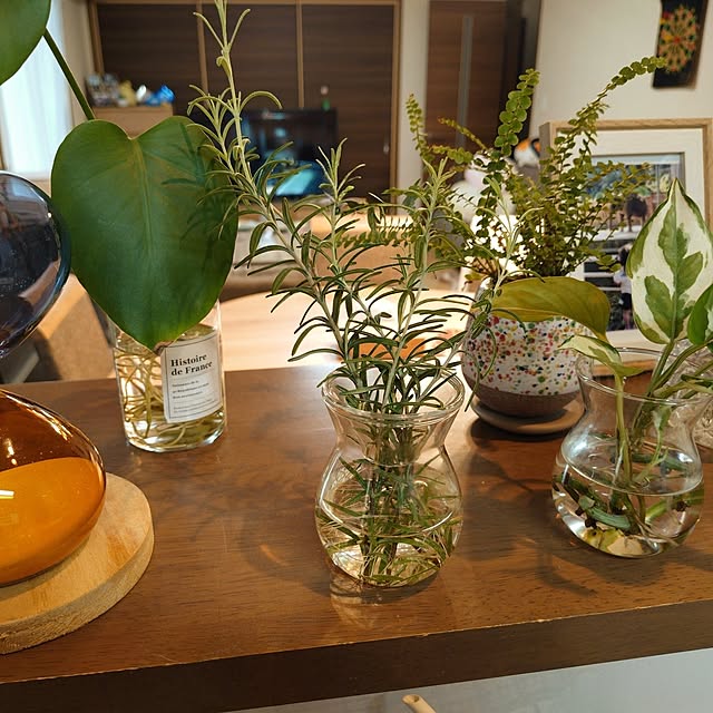 coconathuさんの部屋