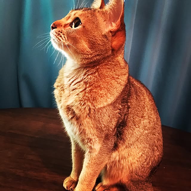 memeさんの実例写真