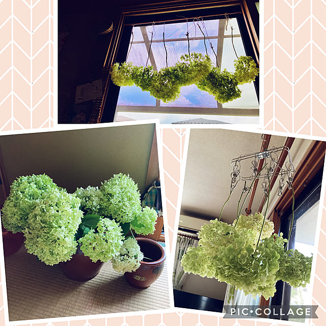 CoCo0617さんの実例写真