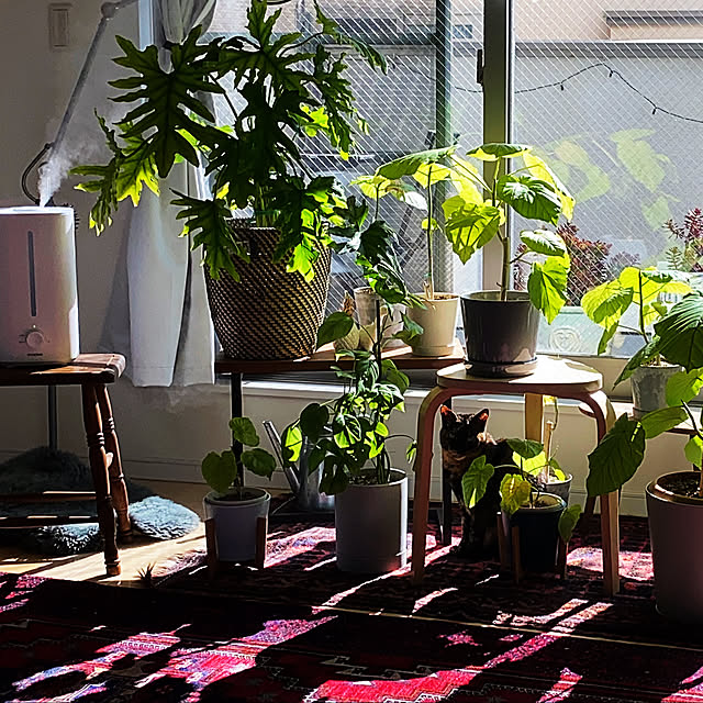 y.さんの部屋