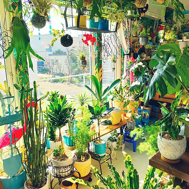 nacchanさんの部屋