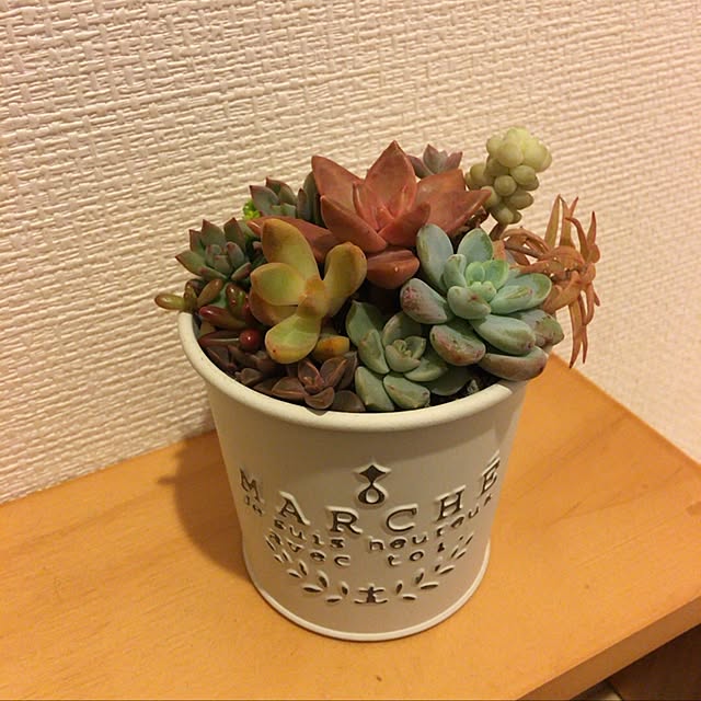 mihoさんの実例写真