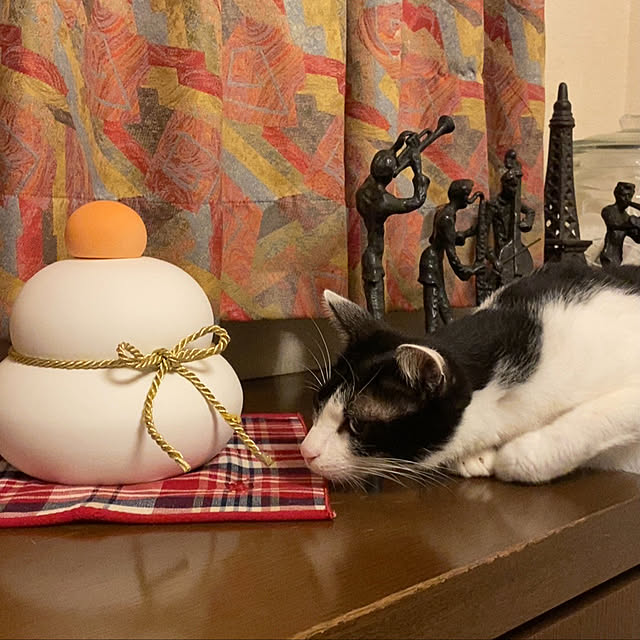 chokku23さんの実例写真