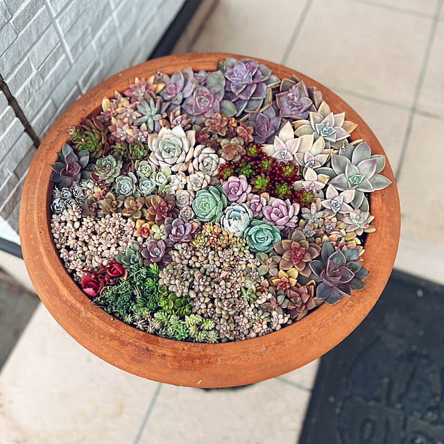 canmilmamaさんの実例写真