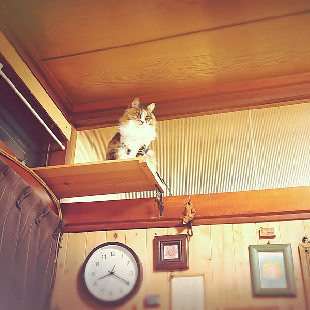 choku3さんの実例写真