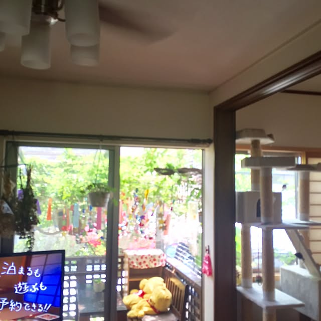 butachanさんの実例写真