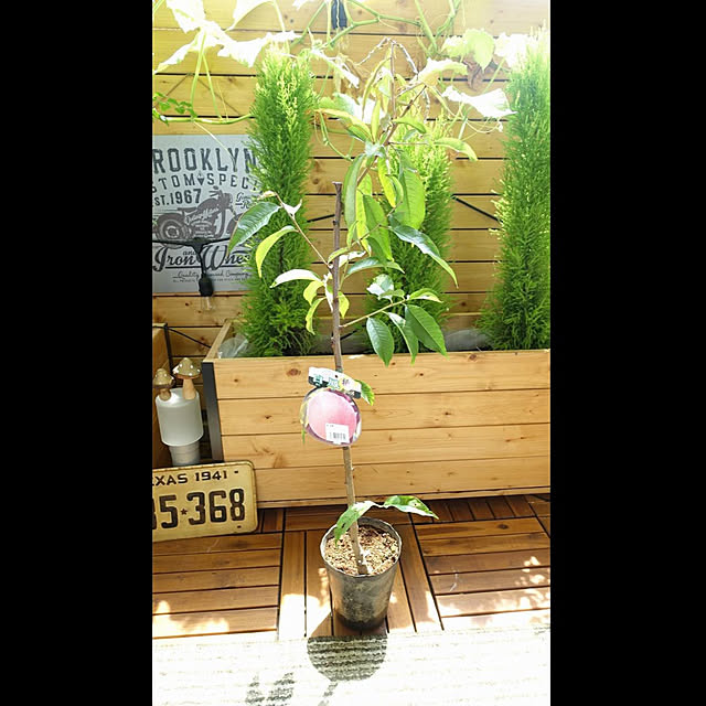 NKGardenさんの実例写真