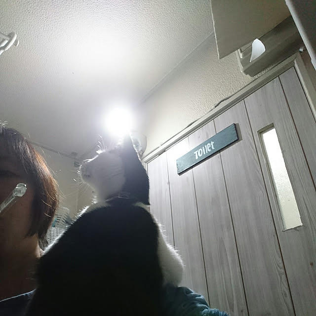 SHIHOさんの実例写真