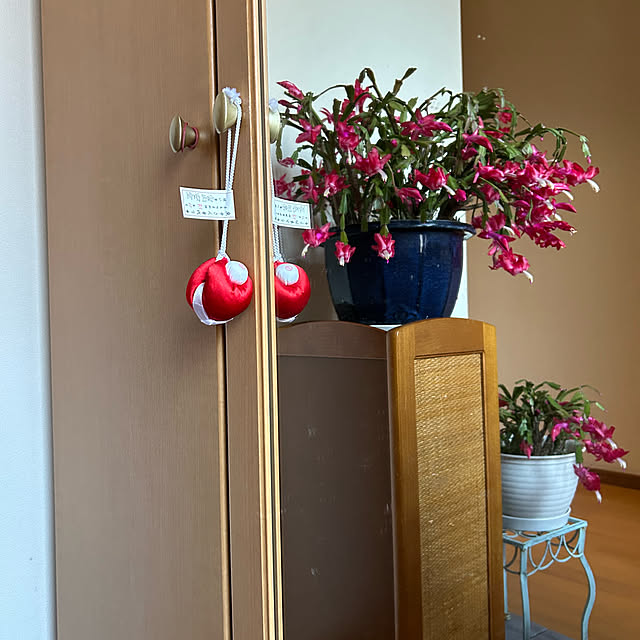 fumikoiさんの部屋