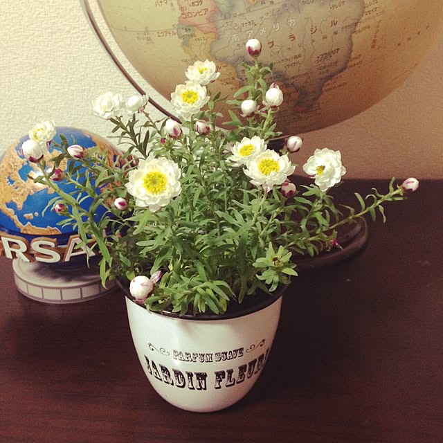 Yukoさんの実例写真