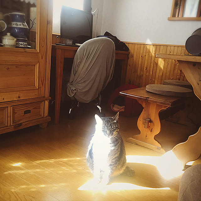 manmarunekoさんの実例写真