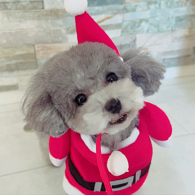nachanさんの実例写真
