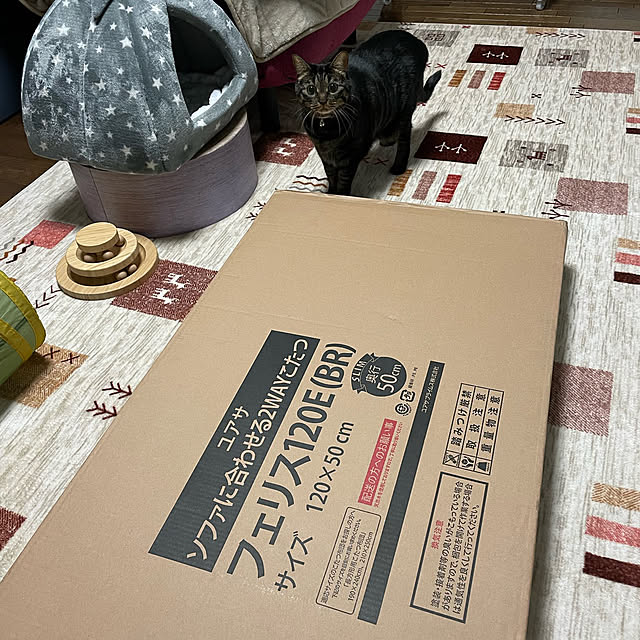 momocchiさんの部屋
