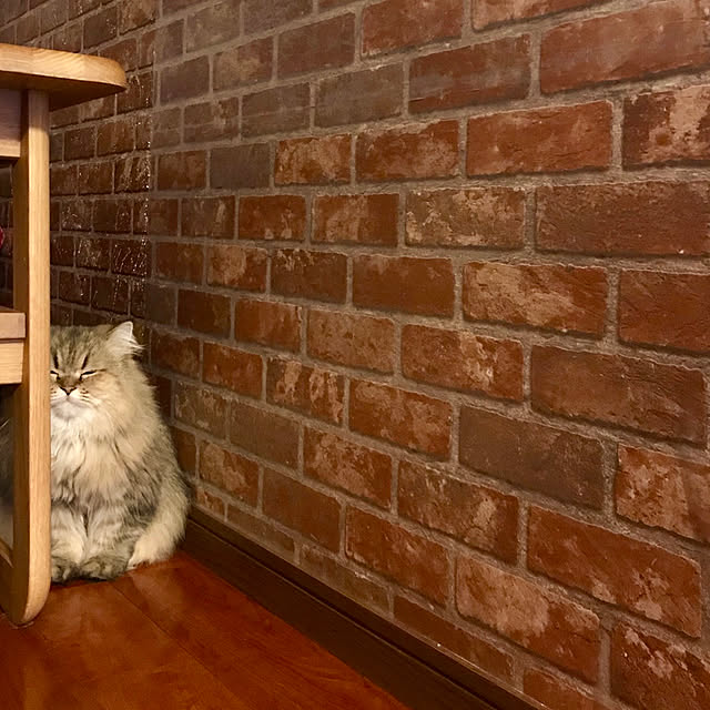 butachanさんの実例写真