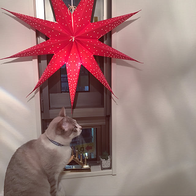 Fukafkaさんの実例写真