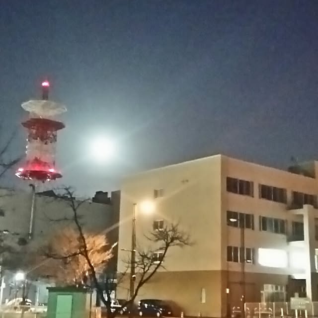 yukkoさんの実例写真