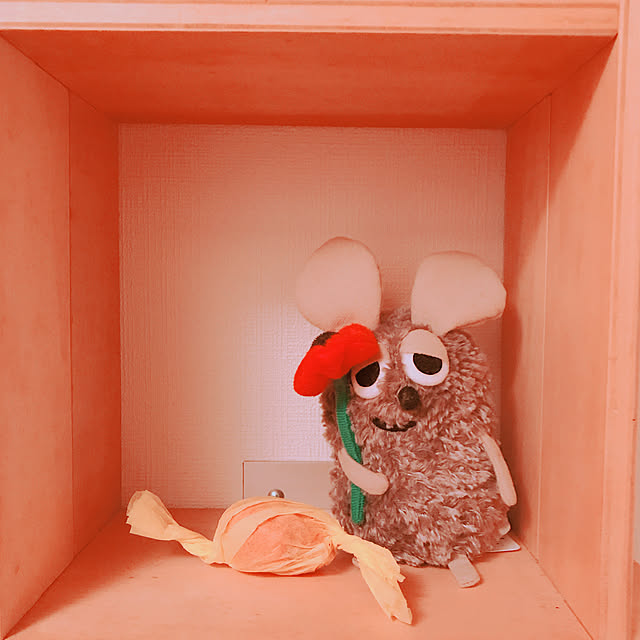 cumiさんの実例写真
