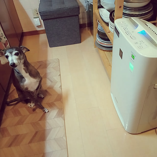 moruさんの実例写真