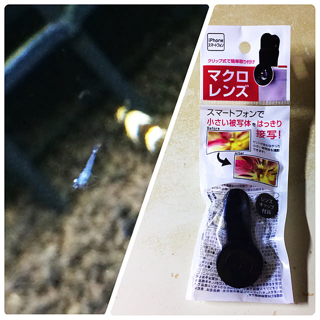 lenkaさんの実例写真