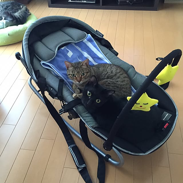 yuki0511さんの実例写真